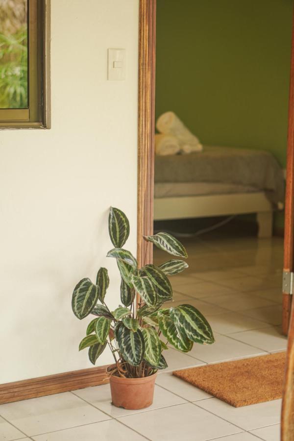 Gala Apts Playa Santa Teresa (Puntarenas) Exterior foto